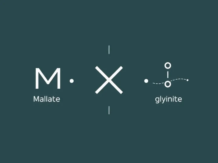 Magnésium et longévité : malate, citrate ou glycinate, lequel choisir selon vos objectifs ?